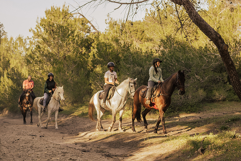 riding a horse in the forest