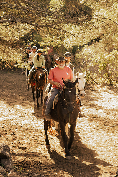 excursion avec des chevaux dans la forêt