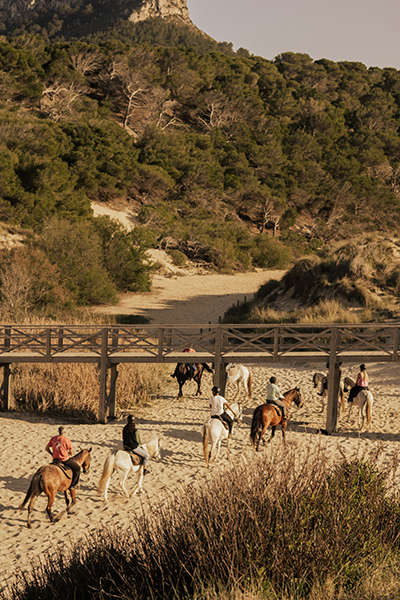 excursion avec des chevaux sur la plage