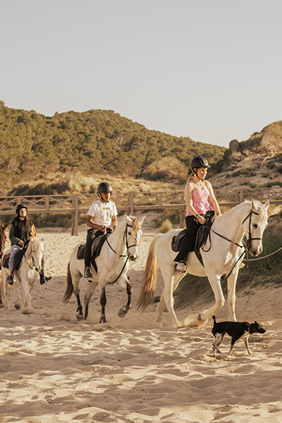 monter à cheval sur la plage