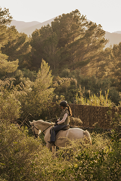 femme à cheval dans la forêt